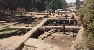 مقابر لـ"قطط محنطة".. كشف أثري جديد في مصر