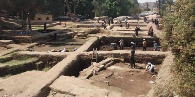 مقابر لـ"قطط محنطة".. كشف أثري جديد في مصر