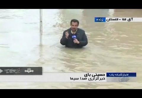 في حالة طبية نادرة، أنجبت امرأة توأما من أبوين مختلفين، وتم اكتشاف المفاجأة "الصادمة"، بعد إجراء فحوص الحمض النووي. وبحسب ما نقلت صحيفة "ديلي ميل"، فإن المرأة الصينية التي أنجبت مولودين ذكرين، اعترفت بعد افتضاح أمرها، بأنها خانت زوجها وأقامت علاقة جنسية عابرة مع رجل آخر.