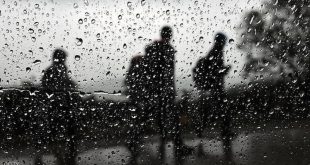 كيف يؤثر المطر على مزاجك؟.. دراسة تجيب