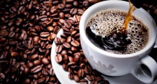 العلماء يكتشفون سر حب القهوة