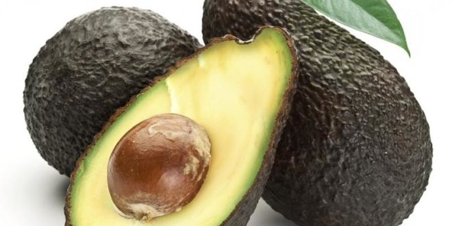 حبة أفوكادو في اليوم ستغير مجرى حياتك !