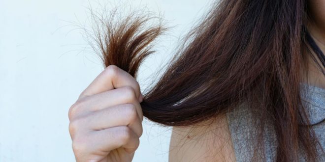 وصفات طبيعية للشعر من البيض.. تمنحه الترطيب والقوة