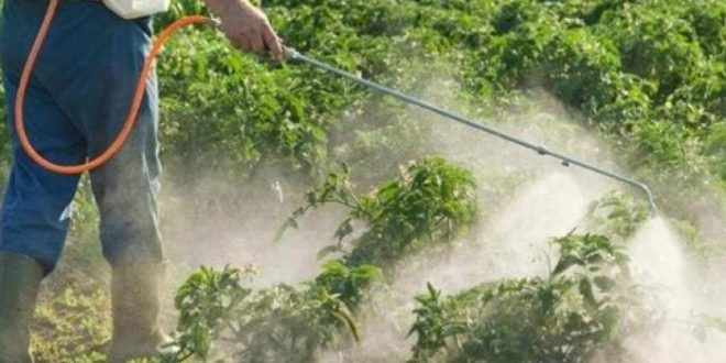 المبيدات الحشرات وأدوات الطهى المصنوعة من هذه المادة تهدد صحتك