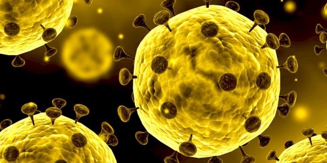 حفلة عيد ميلاد بكاليفورنيا تؤدى لإصابة الكثيرين بالفيروس التاجى بسبب مريضة