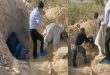 رجل يدفن والدته في قبر مهجور وهي على قيد الحياة