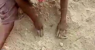رضيع هندي دفن حيا.. ثم نجا بأعجوبة من الموت