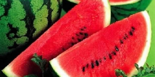 فوائد البطيخ للرجيم