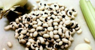 فوائد تناول اللوبيا على صحة جسمك