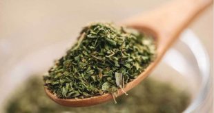 هل يساعد الأوريجانو فى محاربة كورونا؟