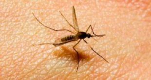 5 أمراض صيفية تحدث بسبب الماء