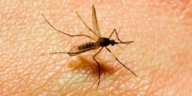 5 أمراض صيفية تحدث بسبب الماء