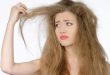 7 وصفات طبيعية لعلاج الشعر الجاف
