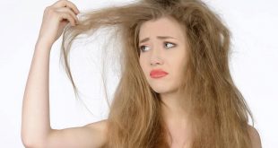 7 وصفات طبيعية لعلاج الشعر الجاف