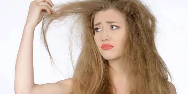 7 وصفات طبيعية لعلاج الشعر الجاف