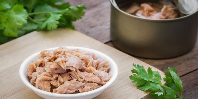 فوائد تناول سمك التونة على صحة جسمك
