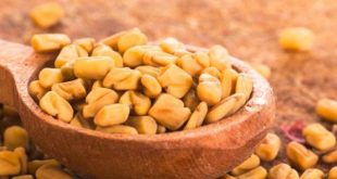 فوائد تناول مشروب الحلبة على صحة جسمك