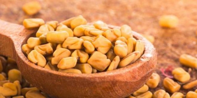 فوائد تناول مشروب الحلبة على صحة جسمك
