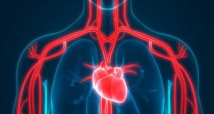 ما معدل قياس نبض القلب الطبيعى وكيف تقيسه؟