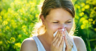 إلى متى يستمر موسم حساسية الربيع؟