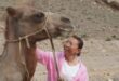 جمل'مخلص' يمشى 100 كيلومتر عبر الصحراء للعودة إلى مالكه السابق