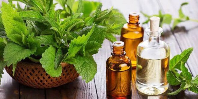 علاج الالتهابات الفيروسية بـ 7 أنواع من الأعشاب المضادة للفيروسات