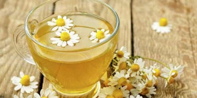 لماذا يساعدك شاى الكاموميل على النوم الجيد؟