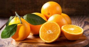 ما هى حساسية الحمضيات وعلامات الإصابة بها ؟