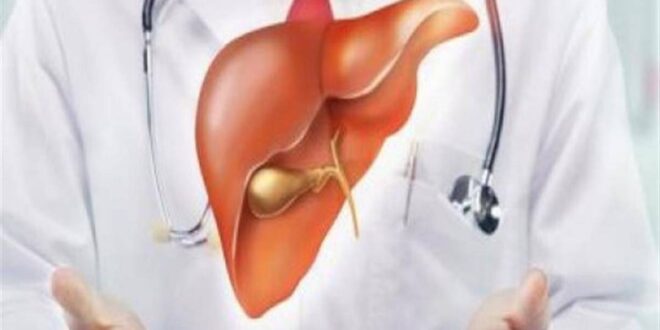 3 اختبارات لاكتشاف أمراض الكبد منها الأشعة