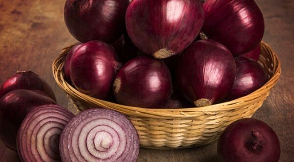 البصل الأحمر مرتبط بانتشار السالمونيلا فى الولايات المتحدة وكندا