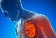 لأول مرة زراعة قلب بشرى.. ليساعد العلماء على إيجاد طرق لعلاج اضطرابات القلب