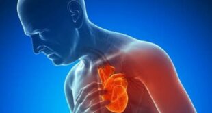 لأول مرة زراعة قلب بشرى.. ليساعد العلماء على إيجاد طرق لعلاج اضطرابات القلب