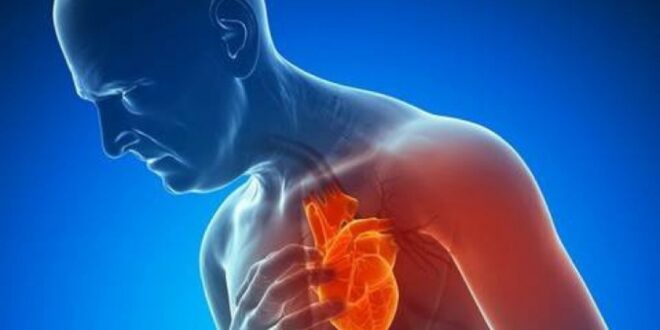 لأول مرة زراعة قلب بشرى.. ليساعد العلماء على إيجاد طرق لعلاج اضطرابات القلب