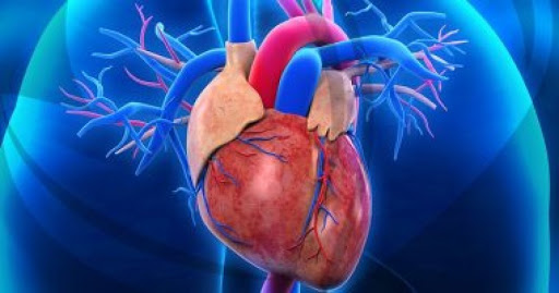 أفضل وأسوأ 10 أطعمة لصحة القلب فى يومه العالمى