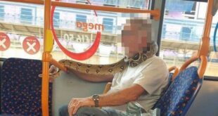 رجل يستخدم ثعبانا بديلا لقناع الوجه بحافلة ببريطانيا