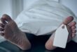 شاب يقتل والده ويعترف لا أشعر بالندم وشربت شاي بجوار جثته