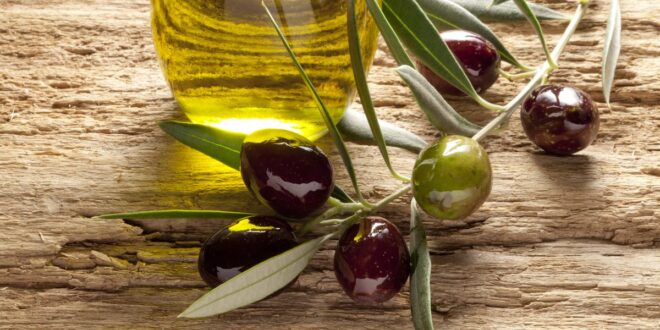 فوائد الزيتون الصحية للسيطرة على مرض السكر