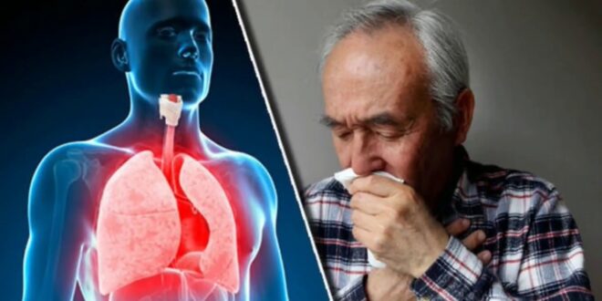 ما هو التهاب الشعب الهوائية..وهل يمكن أن يسبب الحساسية؟