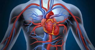 Vascepaعقار أمريكي من زيت السمك لعلاج جلطات القلب