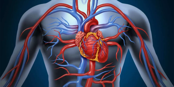 Vascepaعقار أمريكي من زيت السمك لعلاج جلطات القلب