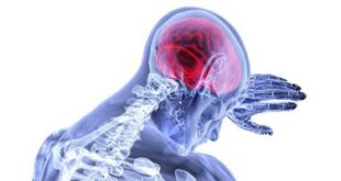 تلف الدماغ الناتج عن نقص الأكسجين سببه دفاع المخ عن نفسه