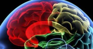 علماء جامعة أكسفورد يتوصلون لمفتاح علاج جديد لمرض باركنسون