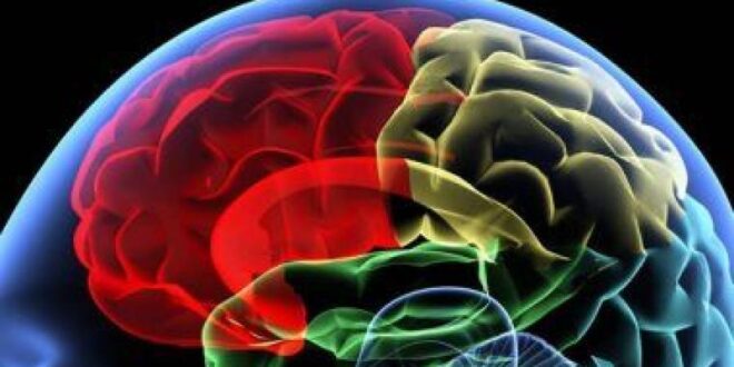 علماء جامعة أكسفورد يتوصلون لمفتاح علاج جديد لمرض باركنسون