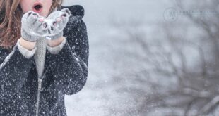 هل ينتشر كورونا بسهولة أكبر فى درجات الحرارة الباردة؟