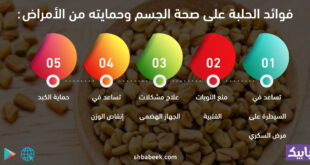 فوائد الحلبة على صحة الجسم وحمايته من الأمراض