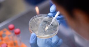 جامعة أكسفورد تعلن عن اختبار جديد يقلل من انتقال عدوى كورونا بنسبة 90٪