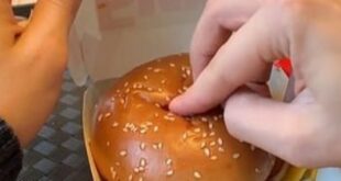 سخرية من شاب روسى وضع خاتم فى 'ساندوتش' ليعرض الزواج على صديقته