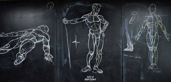 فنان يدمج الفن والطب فى رسومات تشريحية تجتاح السوشيال ميديا في تايلاند