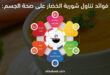 فوائد تناول شوربة الخضار على صحة الجسم