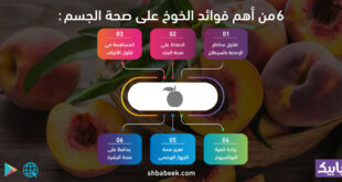 6 من أهم فوائد الخوخ على صحة الجسم